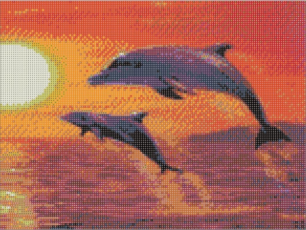 Алмазная мозаика Santi Дельфины 30x40 см (954042)