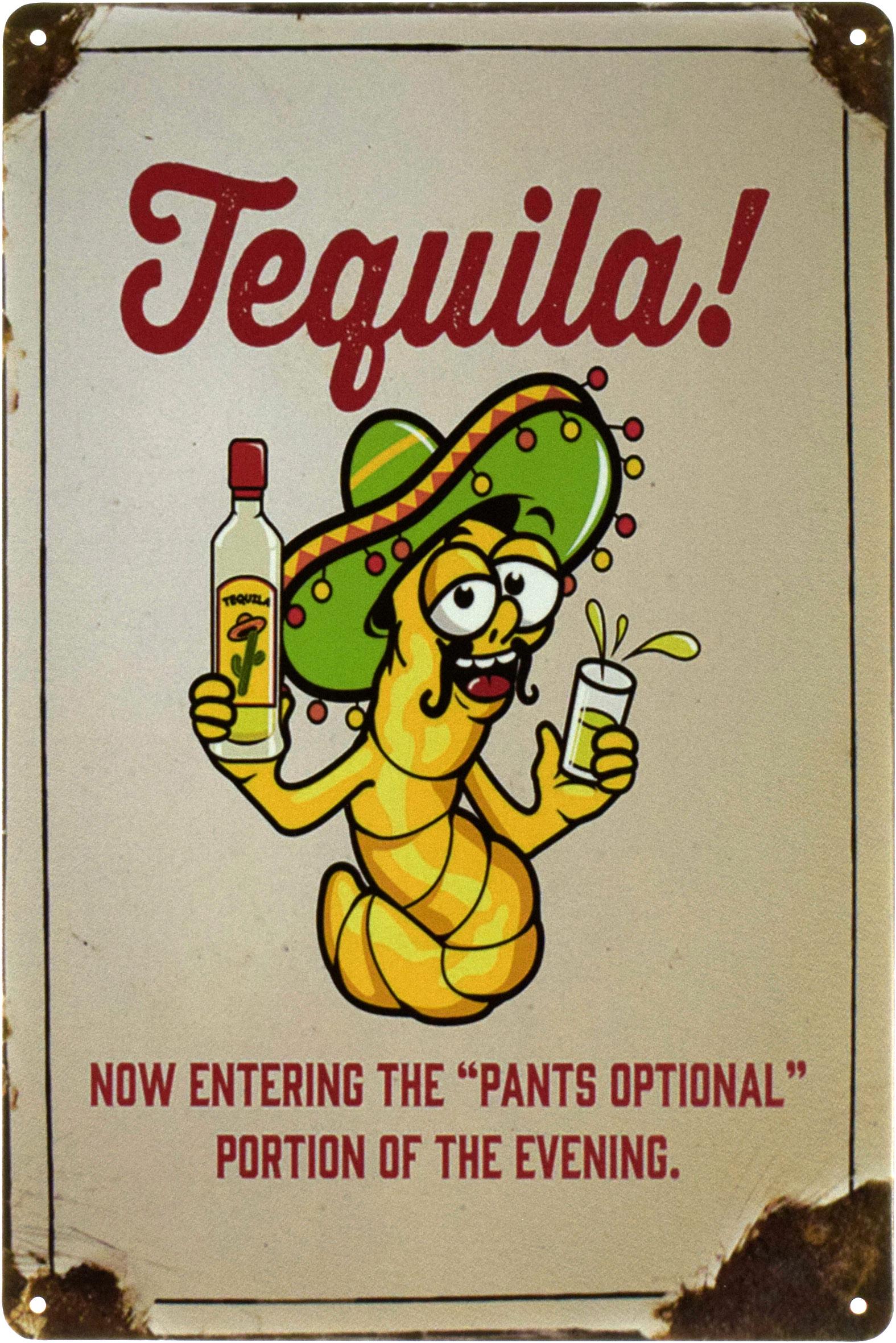 Металлическая табличка Текила!/Tequila! 20x30 см