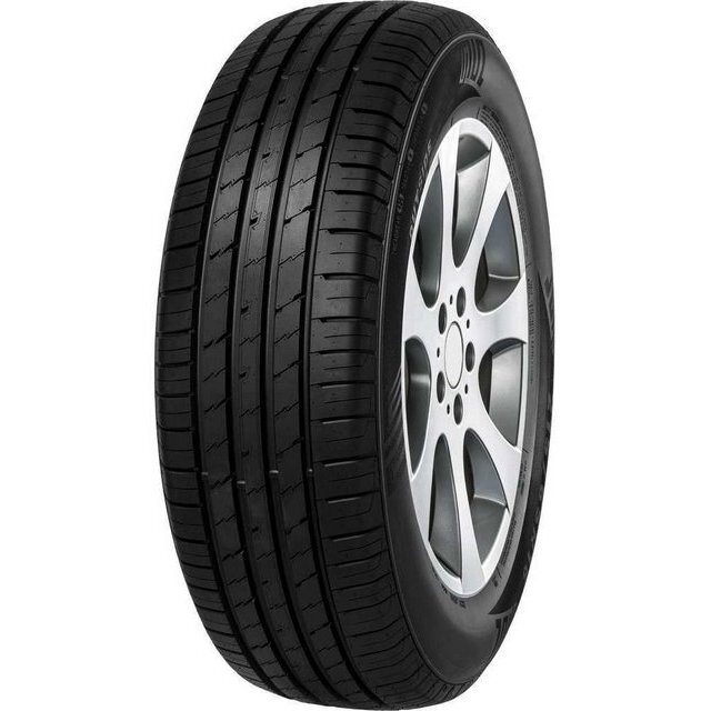 Шина Minerva Eco Speed 2 SUV 235/55 R18 100V літо