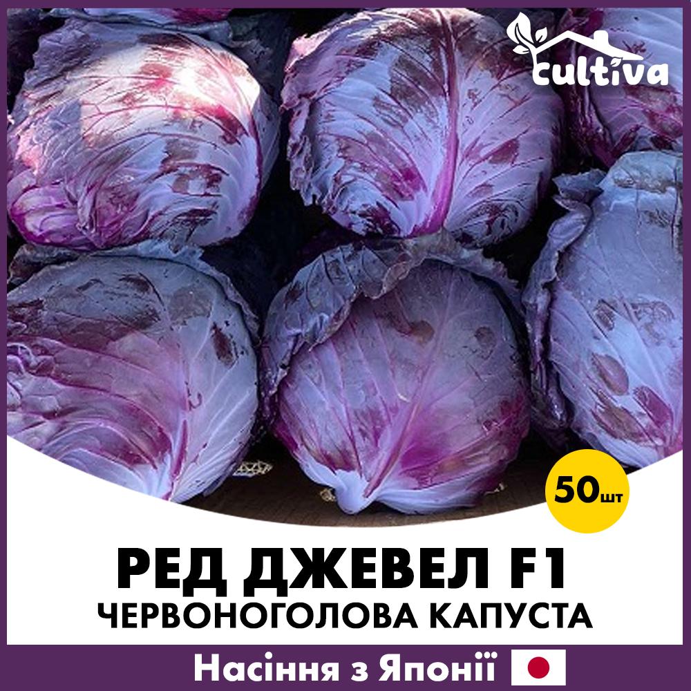 Семена капусты Sakata Красноголовая Ред Джевел F1 50 шт. (R51052_50)