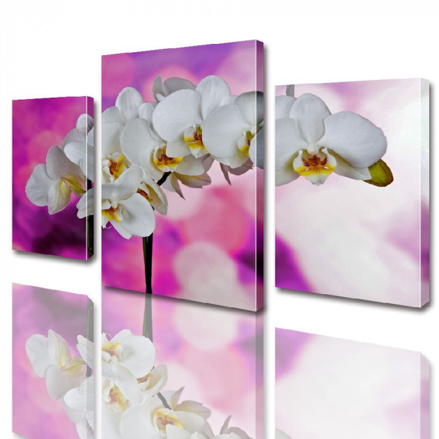 Картина модульная ArtStar Цветы орхидеи ADFL0011 120х180 см 3 части