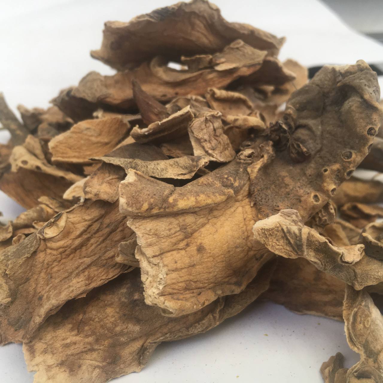 Кубышка желтая корень Карпаты 50 г (6298a696480f247e59298262)