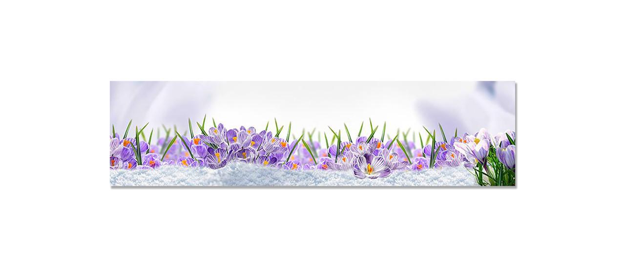 Наклейка виниловая на кухню Zatarga Крокусы в снегу 650х2500 мм (1283915618)