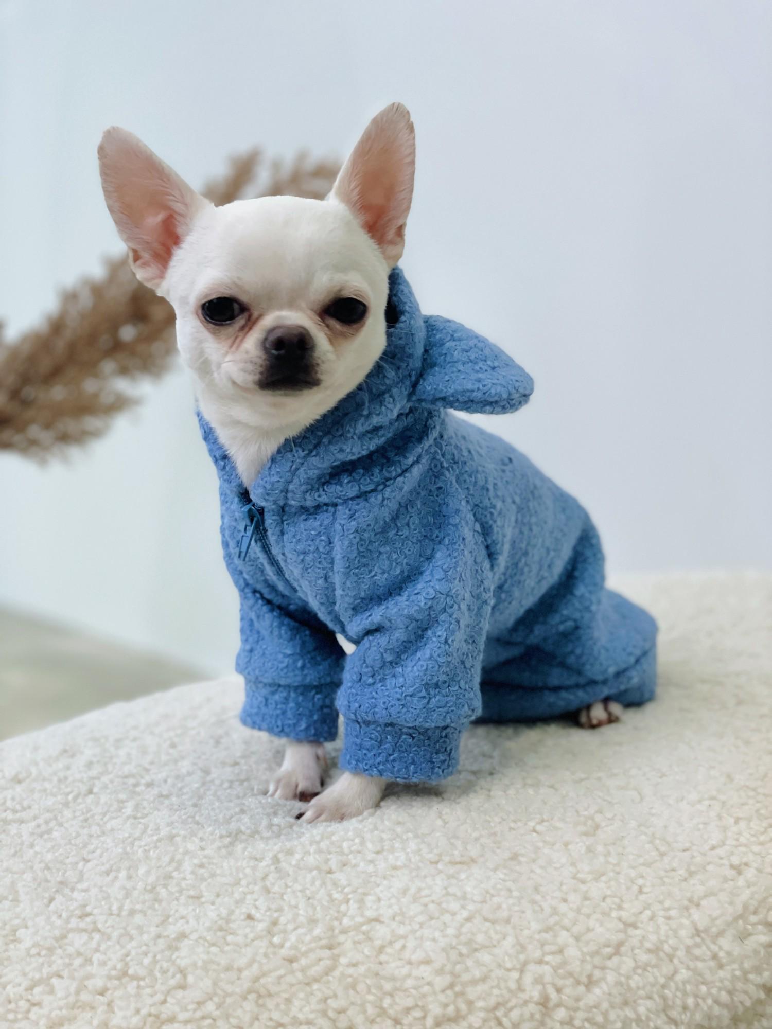 Толстовка для собак барашек Y-311 р. 4 Синий (71054968)