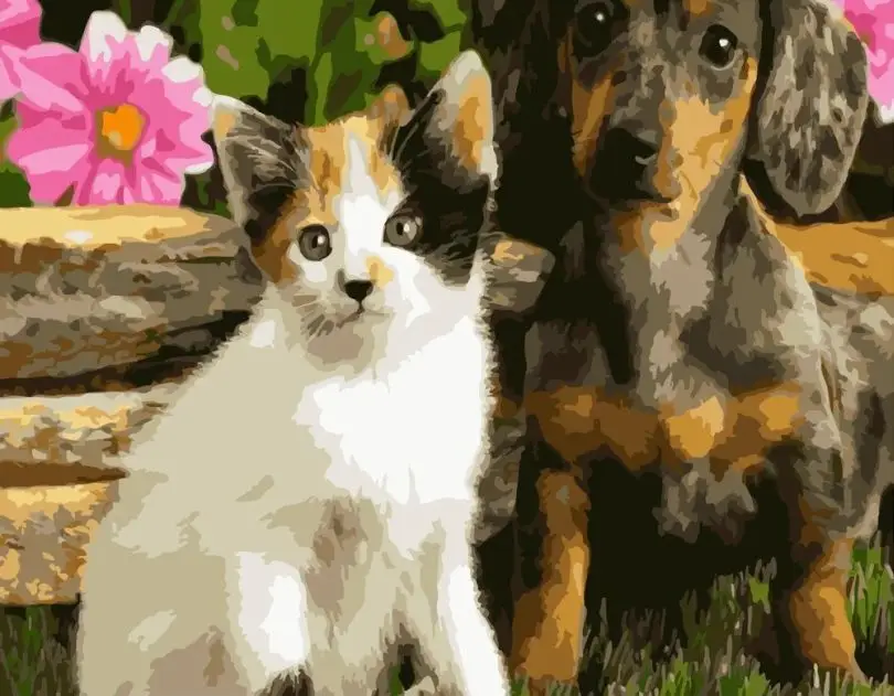 Картина по номерам Strateg Пушистая парочка 40x50 см (SR-B-GS409)