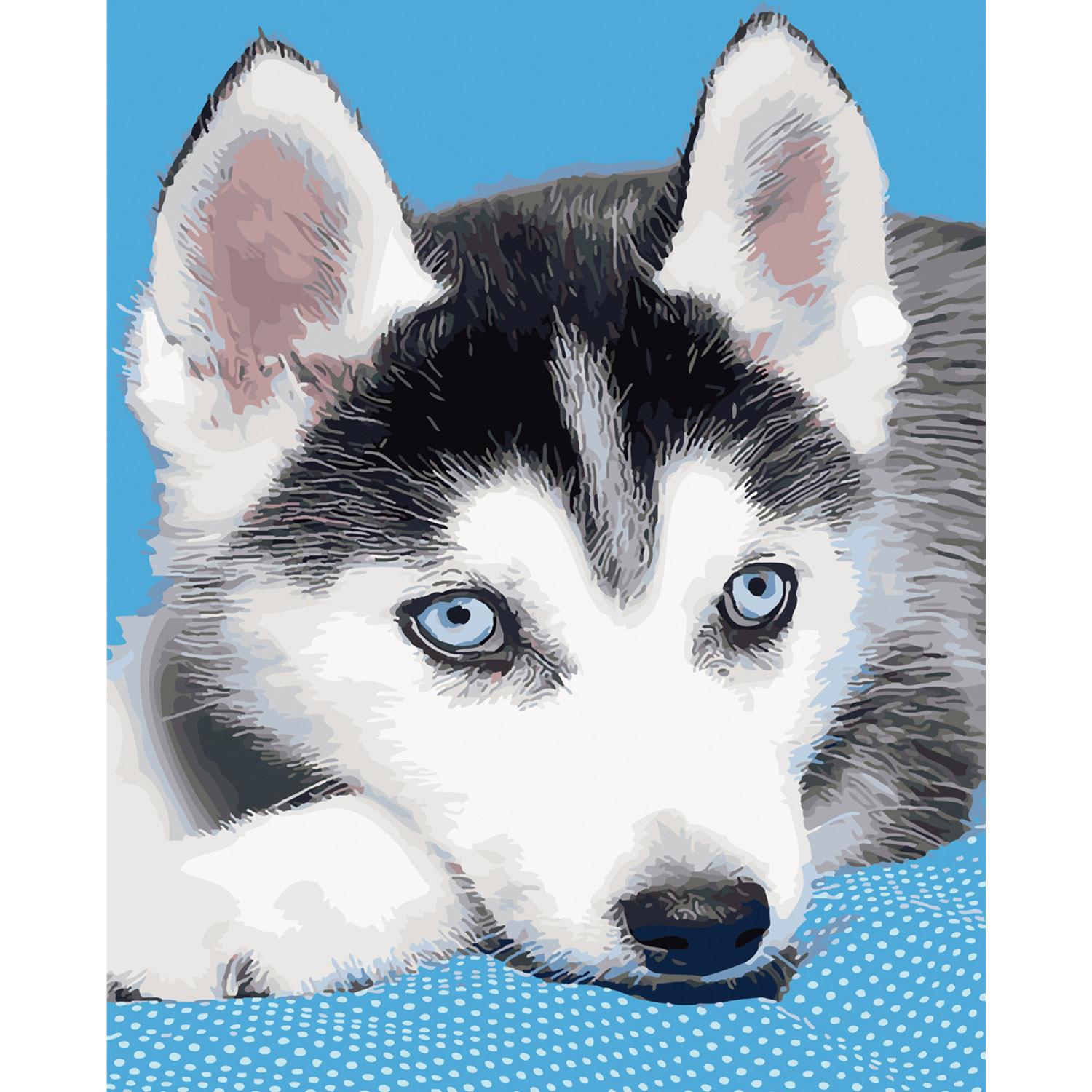 Картина по номерам Strateg Маленький хаски 40х50 см (SY6084)