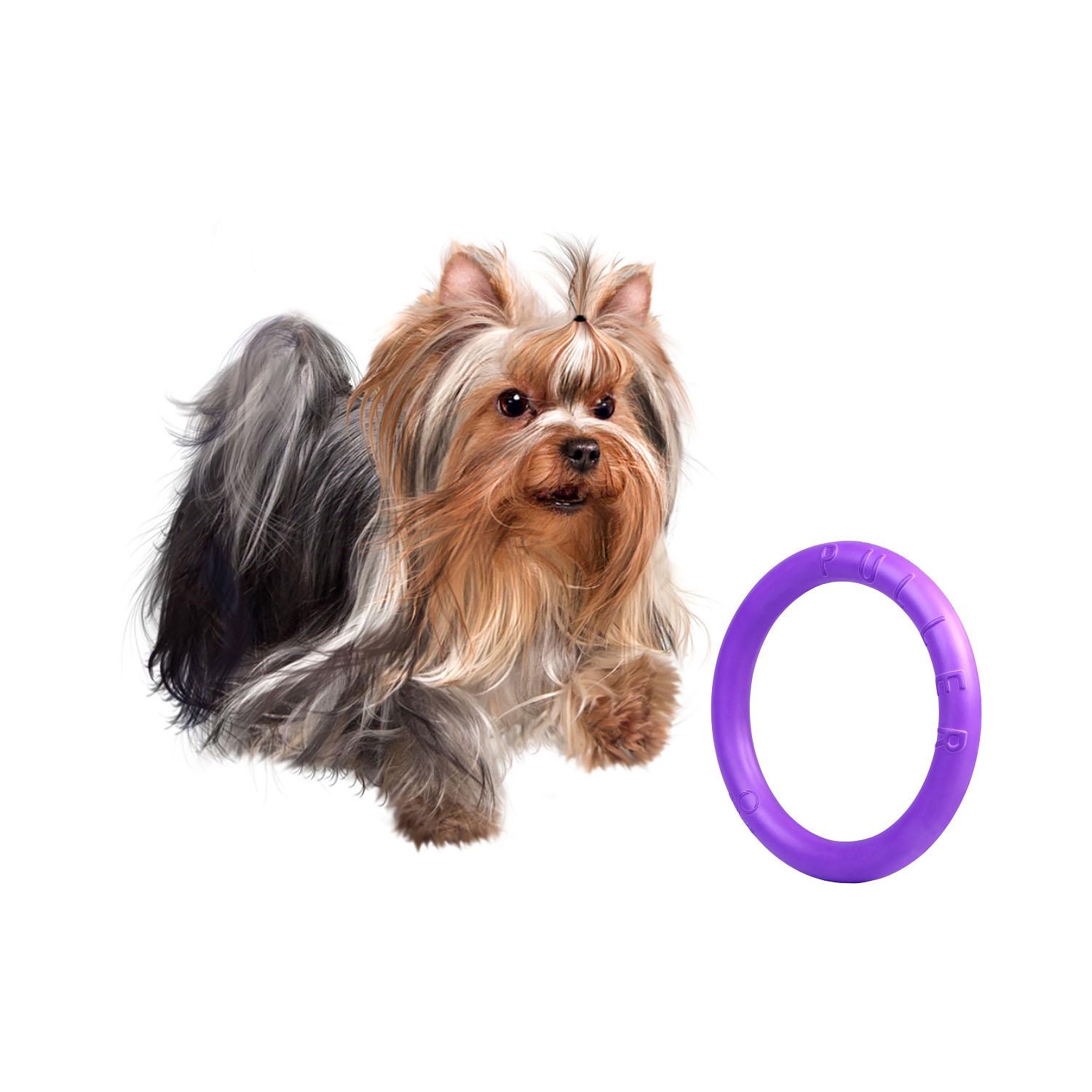 Тренувальний снаряд для собак Puller Mini 18 см (6491) - фото 5 Тренувальний снаряд для собак Puller Mini 18 см (6491) - фото 5