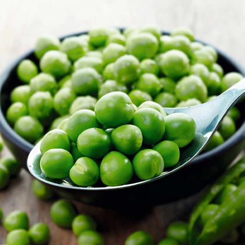 Семена Горох Florium Іловецький (18921)