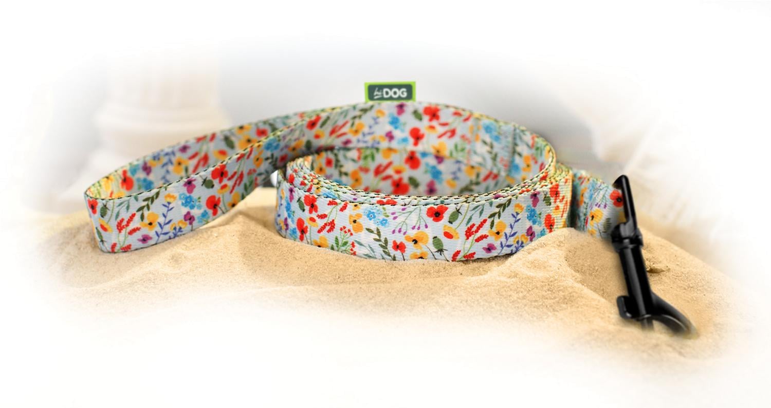 Поводок Hi Dog 16 мм x 152 см Flowers blue (2100102361011)