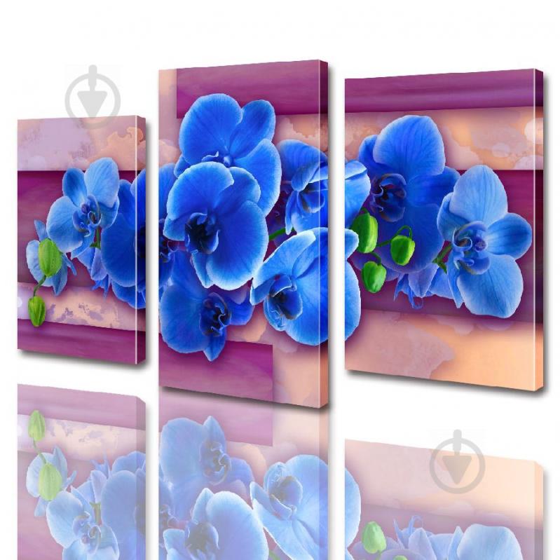 Модульная картина ArtStar цветы Орхидея ADFL0002 размер 45 х 70 см