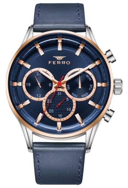 Наручний годинник чоловічий Ferro FM11025B-E3 (343388)