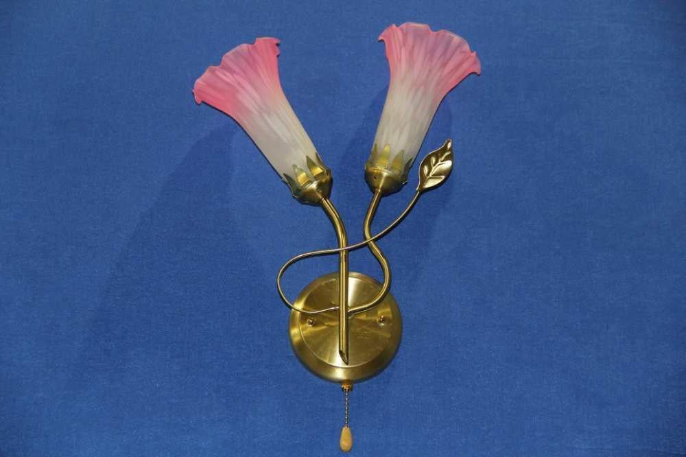 Бра с плафонами Ray B0049/1 Розовый/Золото (IR004973)