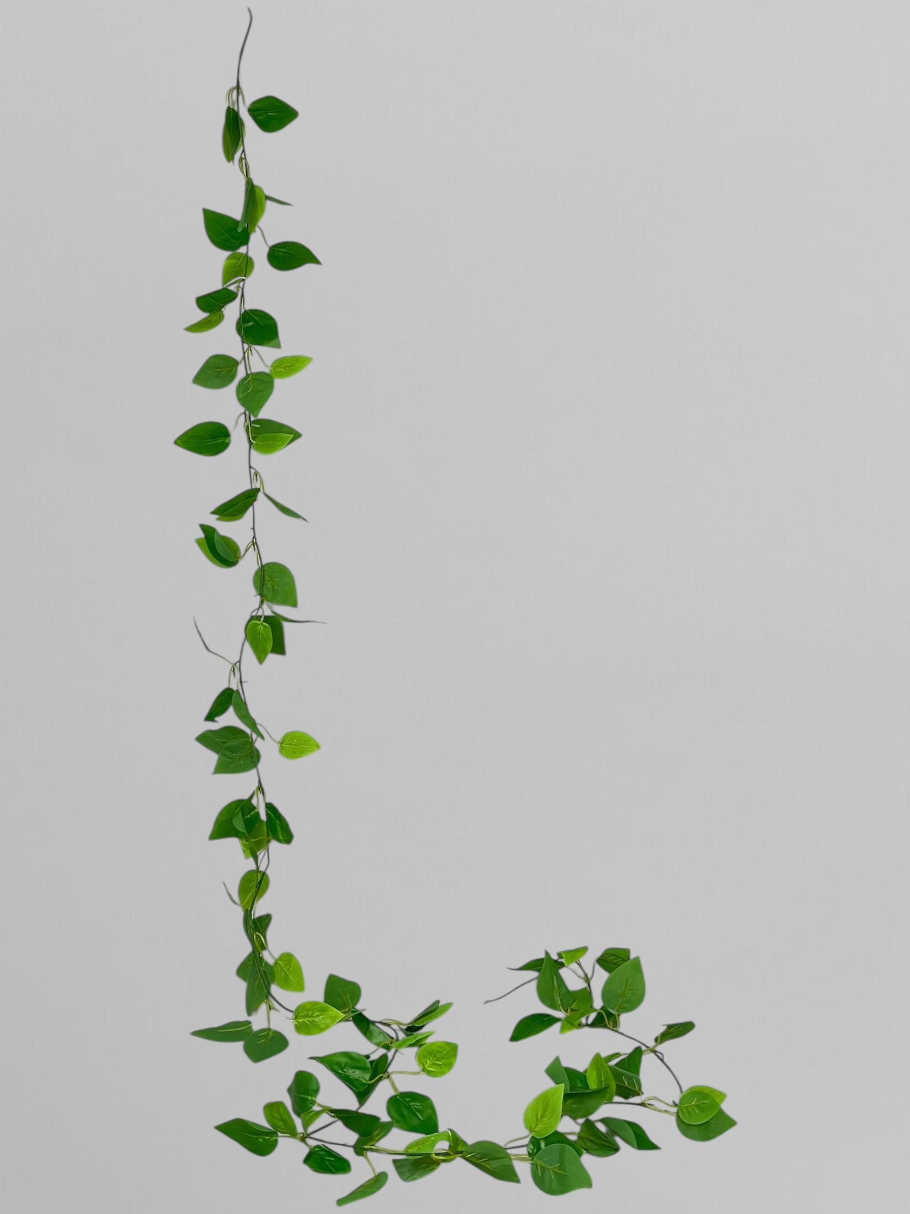 Искусственный потос лиана 200 см Зеленый (Р01016)