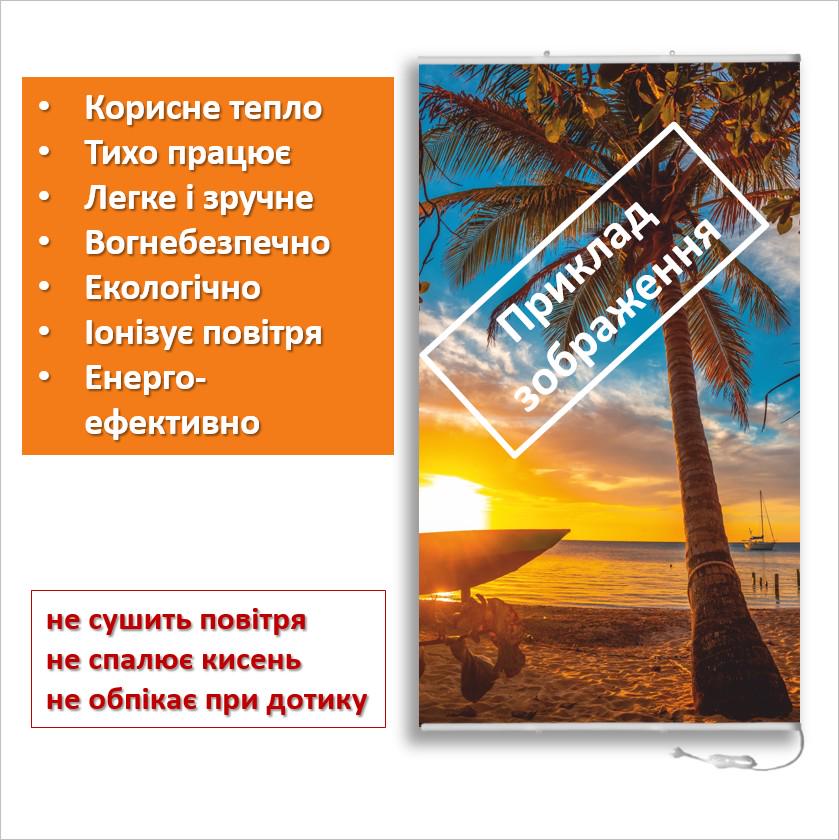 Инфракрасный обогреватель Ромашка и оса 61x107 см 250Вт 220В - фото 5