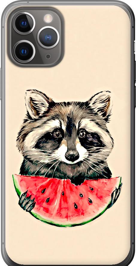 Чехол на iPhone 11 Pro Енотик с арбузом (4605u-1788-42517) Чехол на iPhone 11 Pro Енотик с арбузом (4605u-1788-42517)