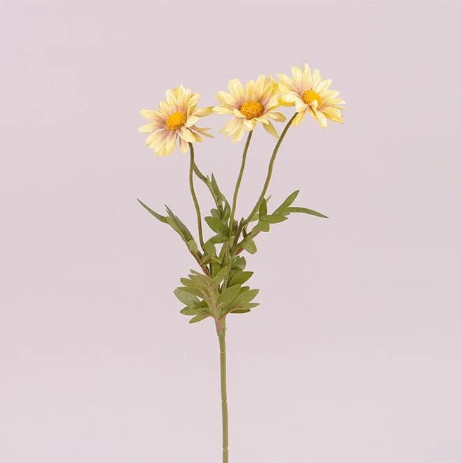 Цветок Маргаритка Flora Желтый (72917)
