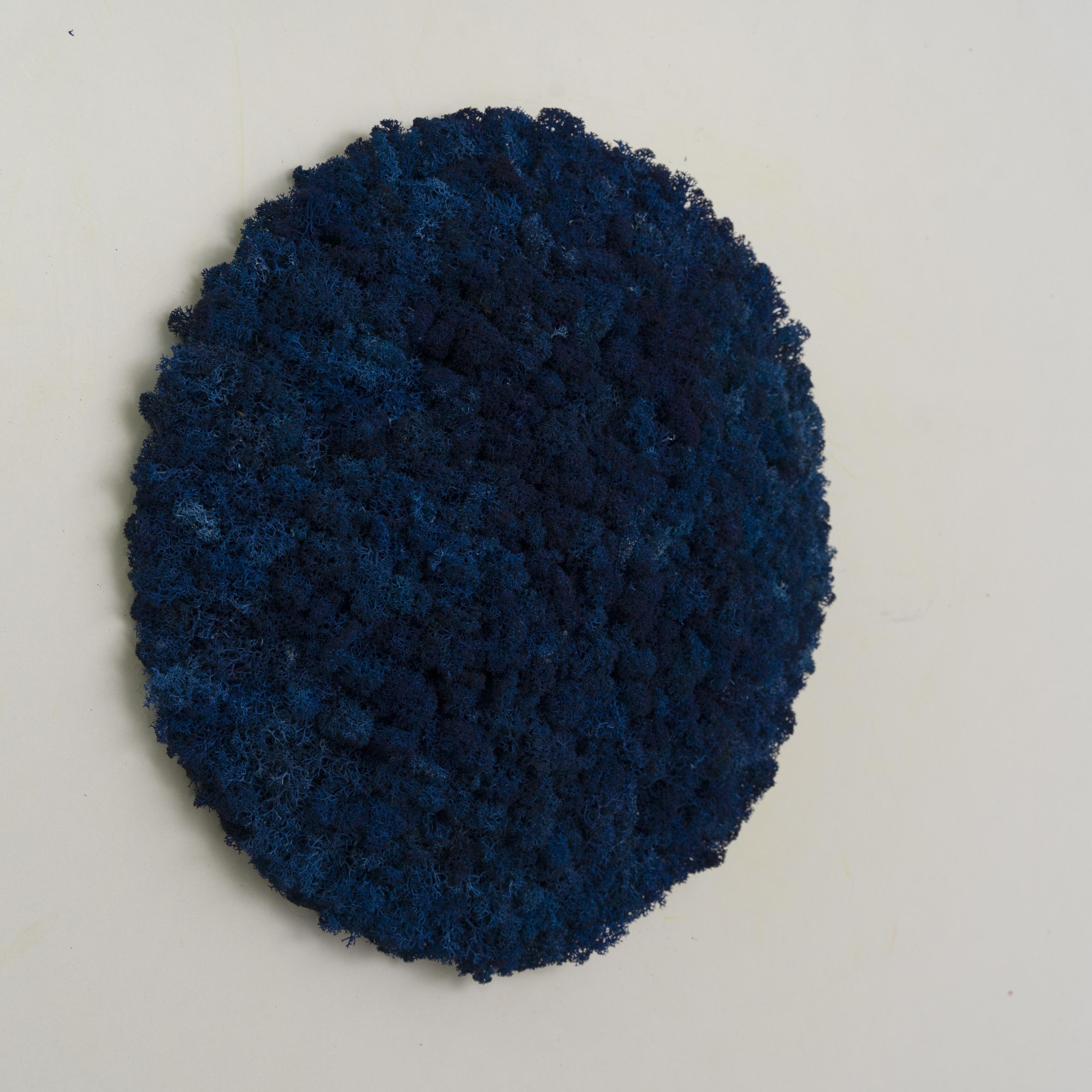 Декоративное панно из мха Organic Design d 33 см Blue (701-12) Декоративное панно из мха Organic Design d 33 см Blue (701-12)