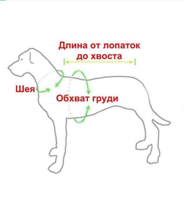 Жилет для собаки 5XL (СЖ2) - фото 5