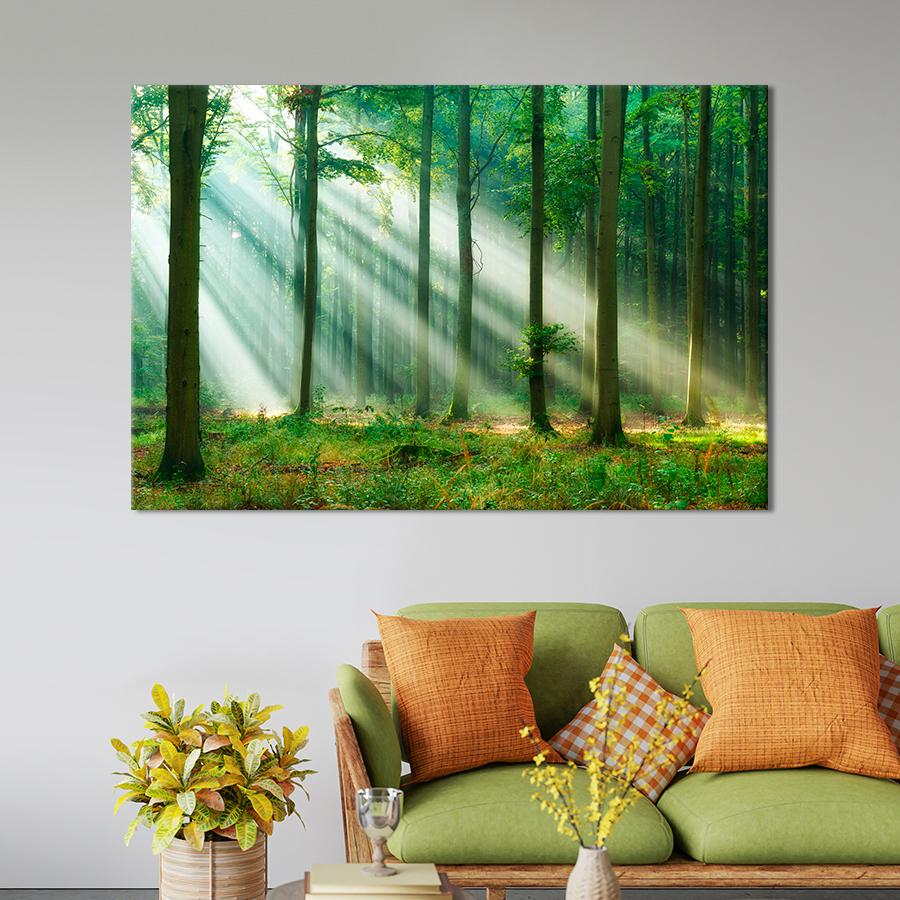 Картина на полотні Сонце в лісі 80x54 см (V444-1_L)