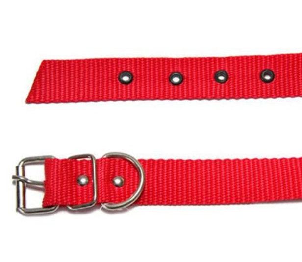 Ошейник для животных капроновый одинарный 25 мм х 60 см Красный (2296441699) - фото 1 Ошейник для животных капроновый одинарный 25 мм х 60 см Красный (2296441699) - фото 1