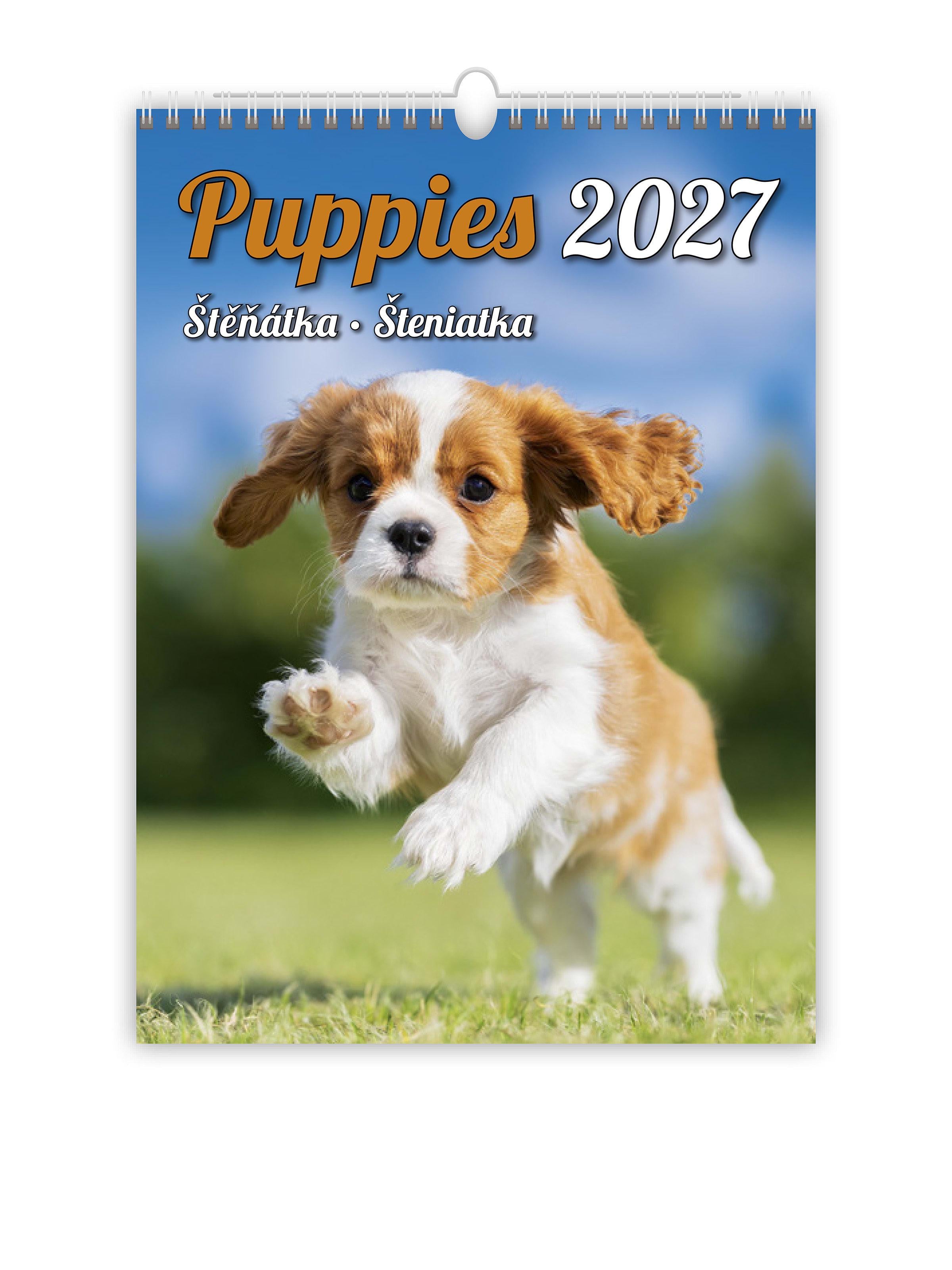 Календарь настенный 2027 HELMA Puppies 24х33 см (N181-27)