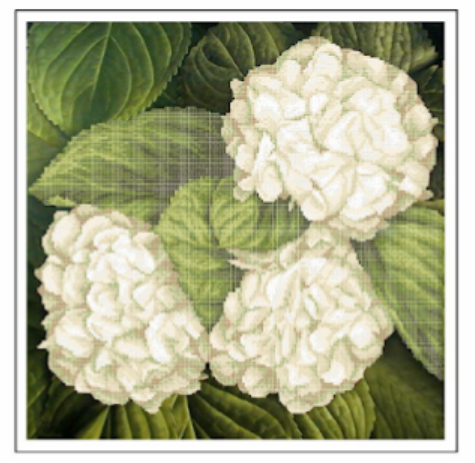 Схема для вышивки бисером Золота Подкова Белые Гортензии (ЗПК-053) Схема для вышивки бисером Золота Подкова Белые Гортензии (ЗПК-053)