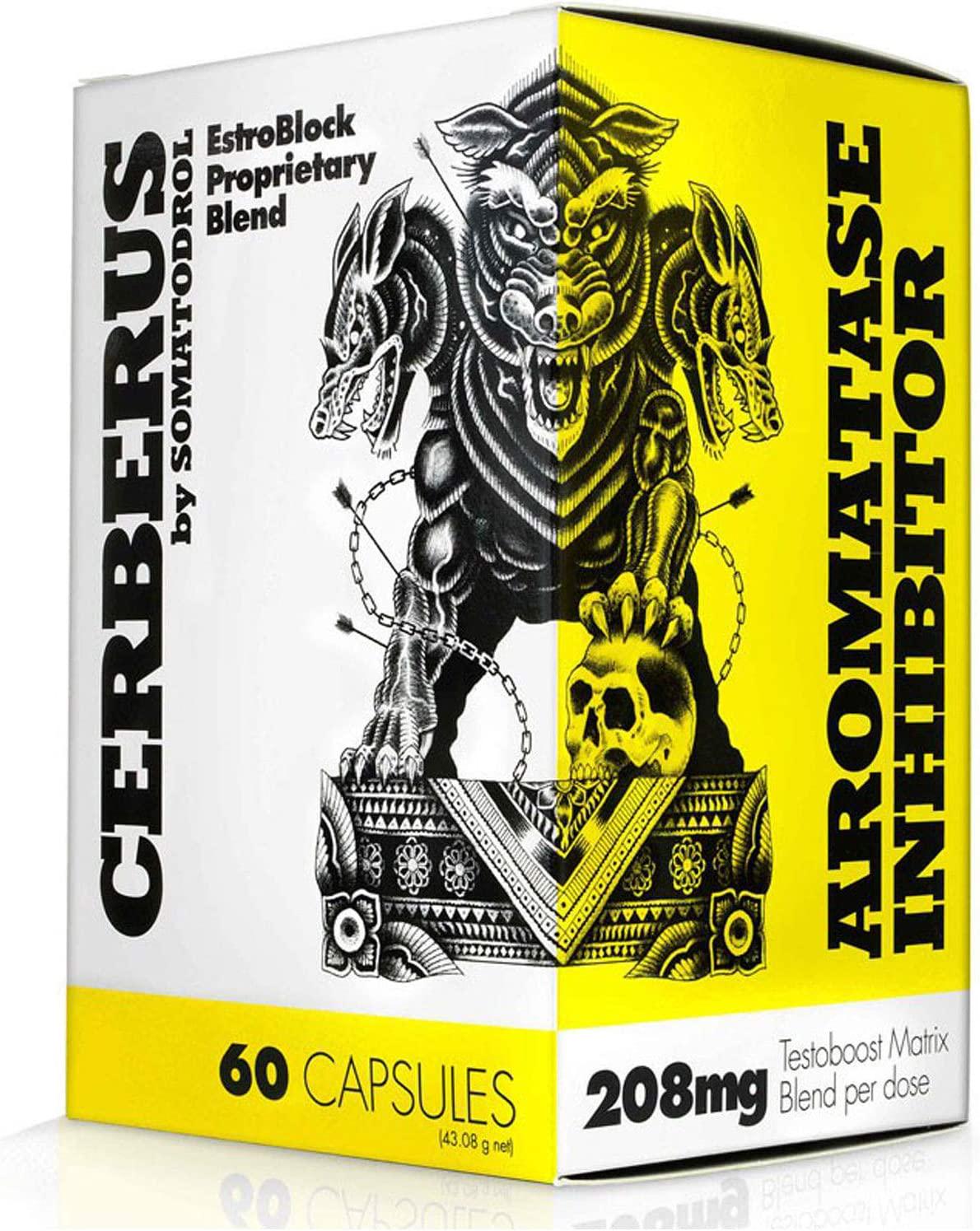 Специальная добавка Iridium Labs Cerberus 60 caps