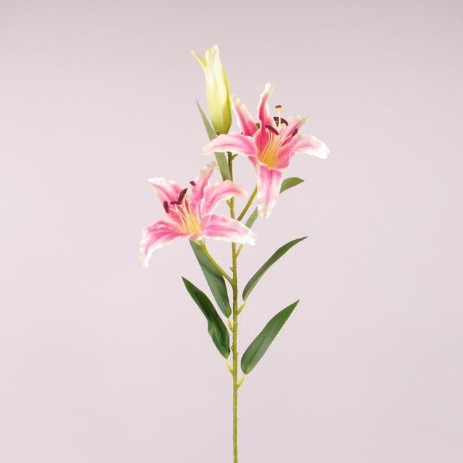 Квітка Flora Лілія (72796)