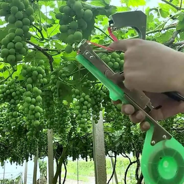 Степлер садовий для підв'язування рослин RIAS Tapetool Green (3_06133) - фото 5 Степлер садовий для підв'язування рослин RIAS Tapetool Green (3_06133) - фото 5