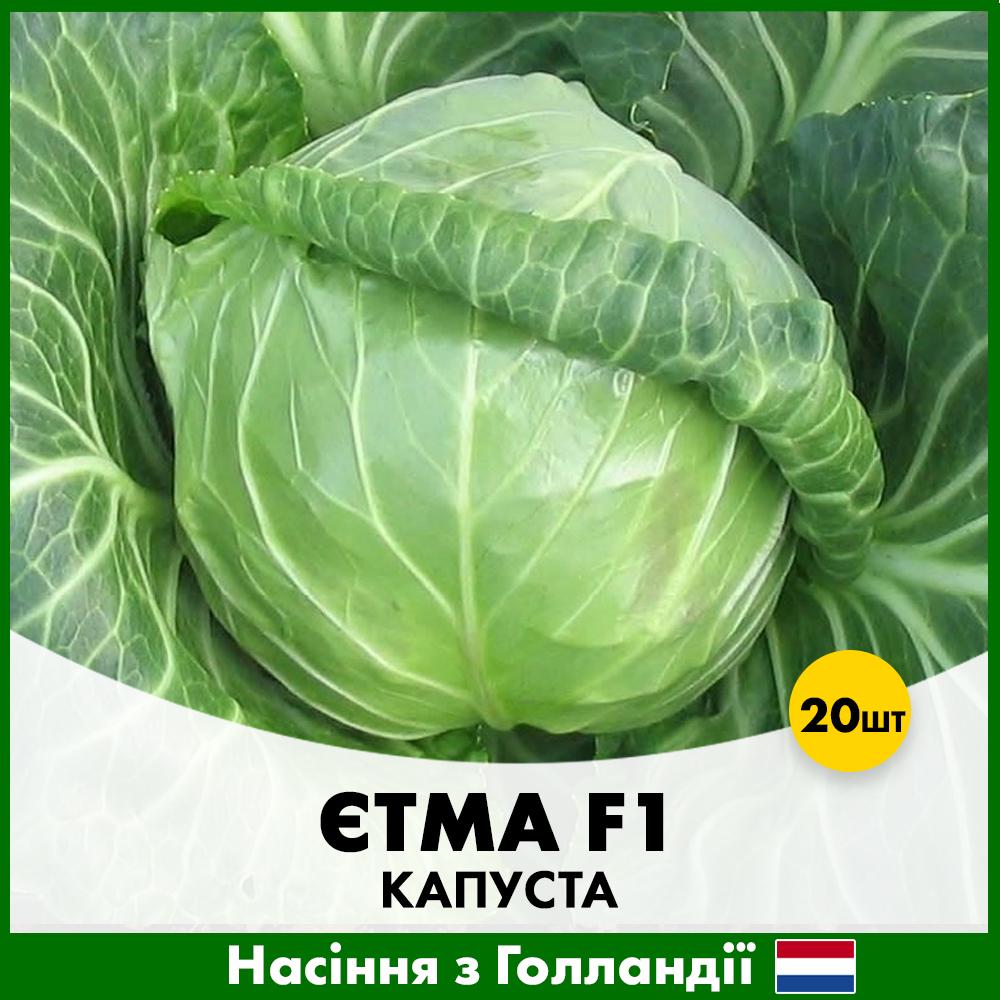 Насіння капусти Rijk Zwaan Білоголова Єтма 20 шт. (bk-e20)