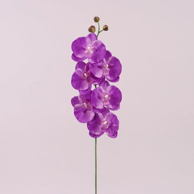 Цветок фаленопсис Flora 6 шт. Светло-фиолетовый (72879)