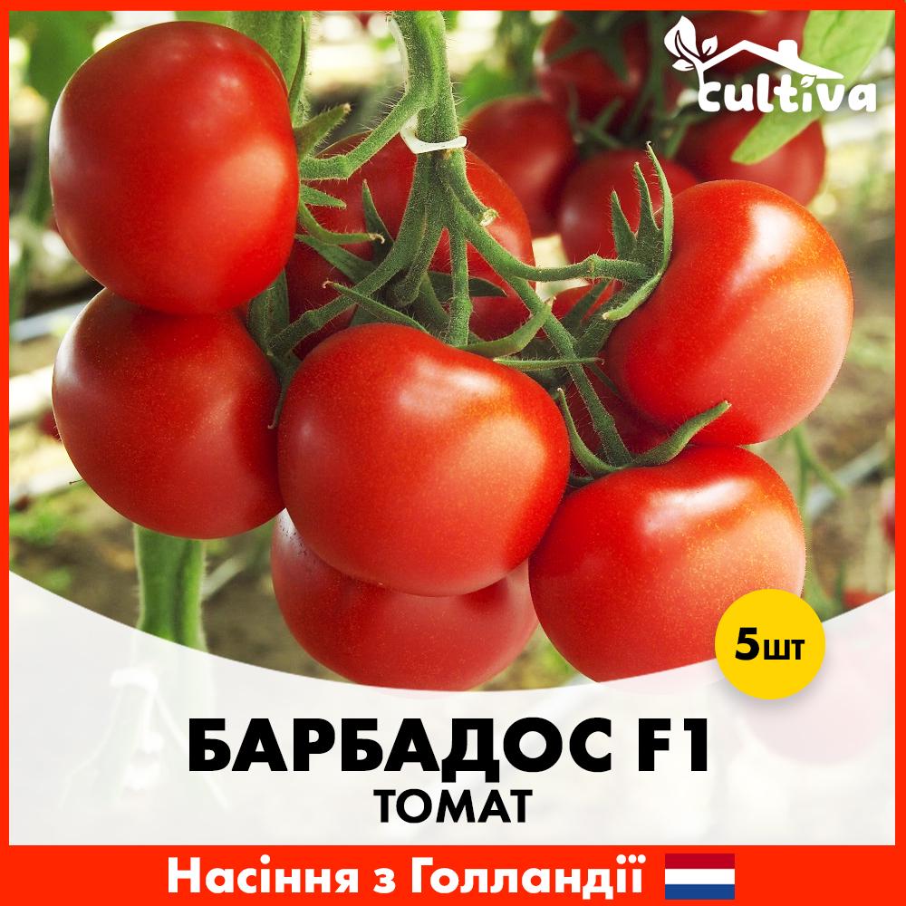 Семена томата Rijk Zwaan Барбадос F1 5 шт. (R51159)