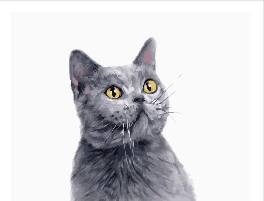 Картина по номерам BrushMe Милый британец холст на подрамнике 40x50 см (GT66025)