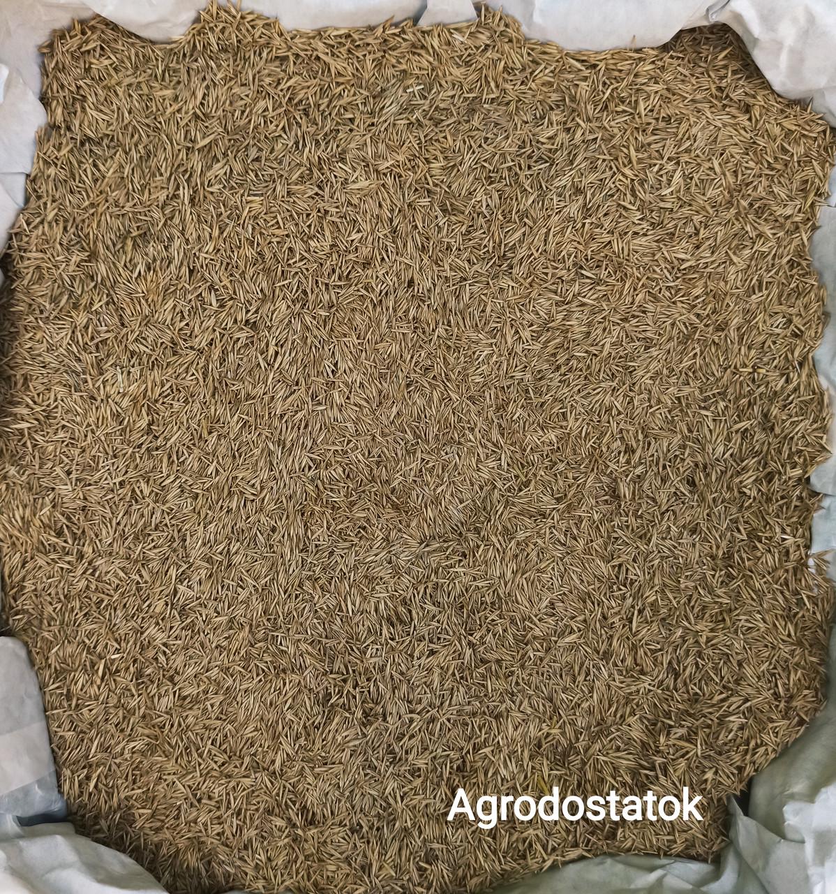 Семена для газона ADS Костица овсяница красная сорт Dipper DSV 1 кг (2098708492) - фото 2 Семена для газона ADS Костица овсяница красная сорт Dipper DSV 1 кг (2098708492) - фото 2