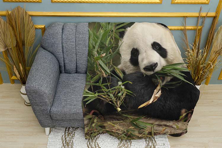 Плед Little panda with bamboo плюш однослойный 135х150 см (113997)