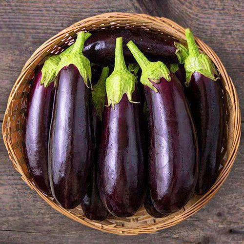 Насіння Баклажан Florium Фабіна F1 циліндричний (6229)