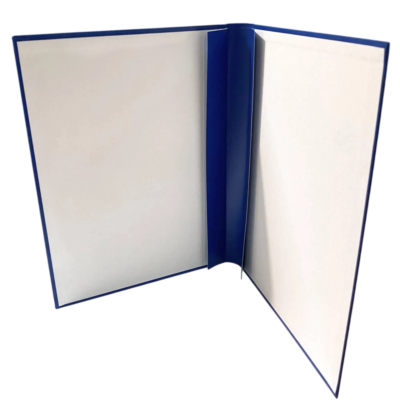 Папка твердая А4 для архива/для делопроизводства (1541633284)