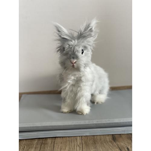 Коврик для животных охлаждающий Purlov 25531 90x50 см (26629977) - фото 11 Коврик для животных охлаждающий Purlov 25531 90x50 см (26629977) - фото 11