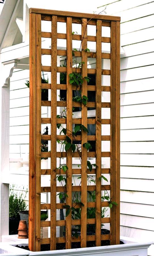 Шпалера садовая из дерева Батури Мускат (ШПЛ-001707)