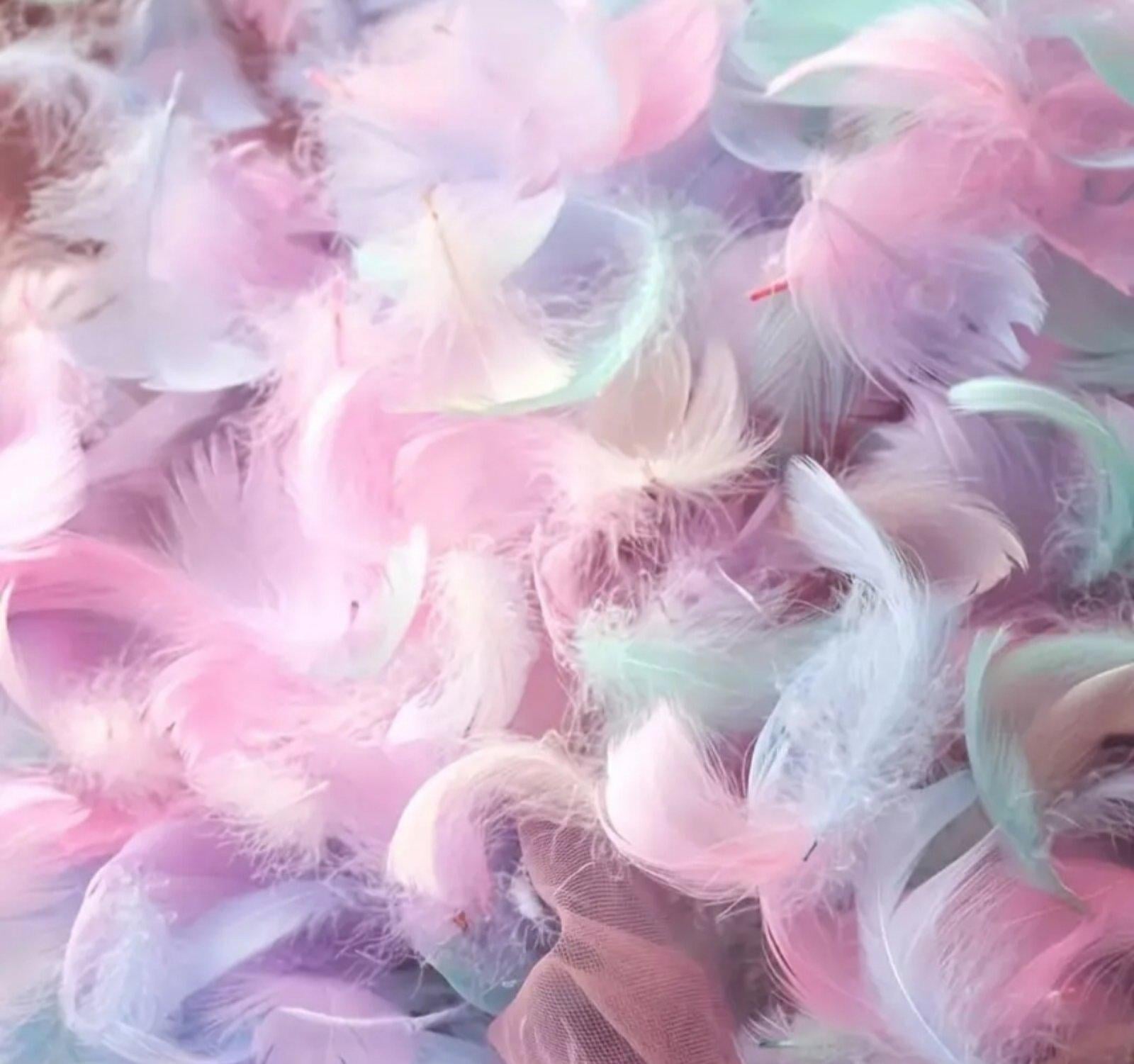 Набір пір'я декоративного Мікс для дитячої творчості 95-100 шт. 4-9 см Пастель (32618100)