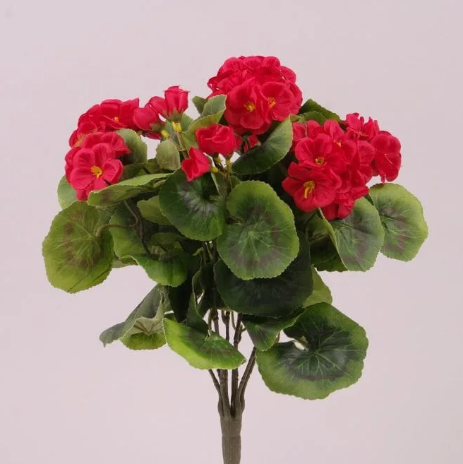 Букет Герани Flora Красный (72889)