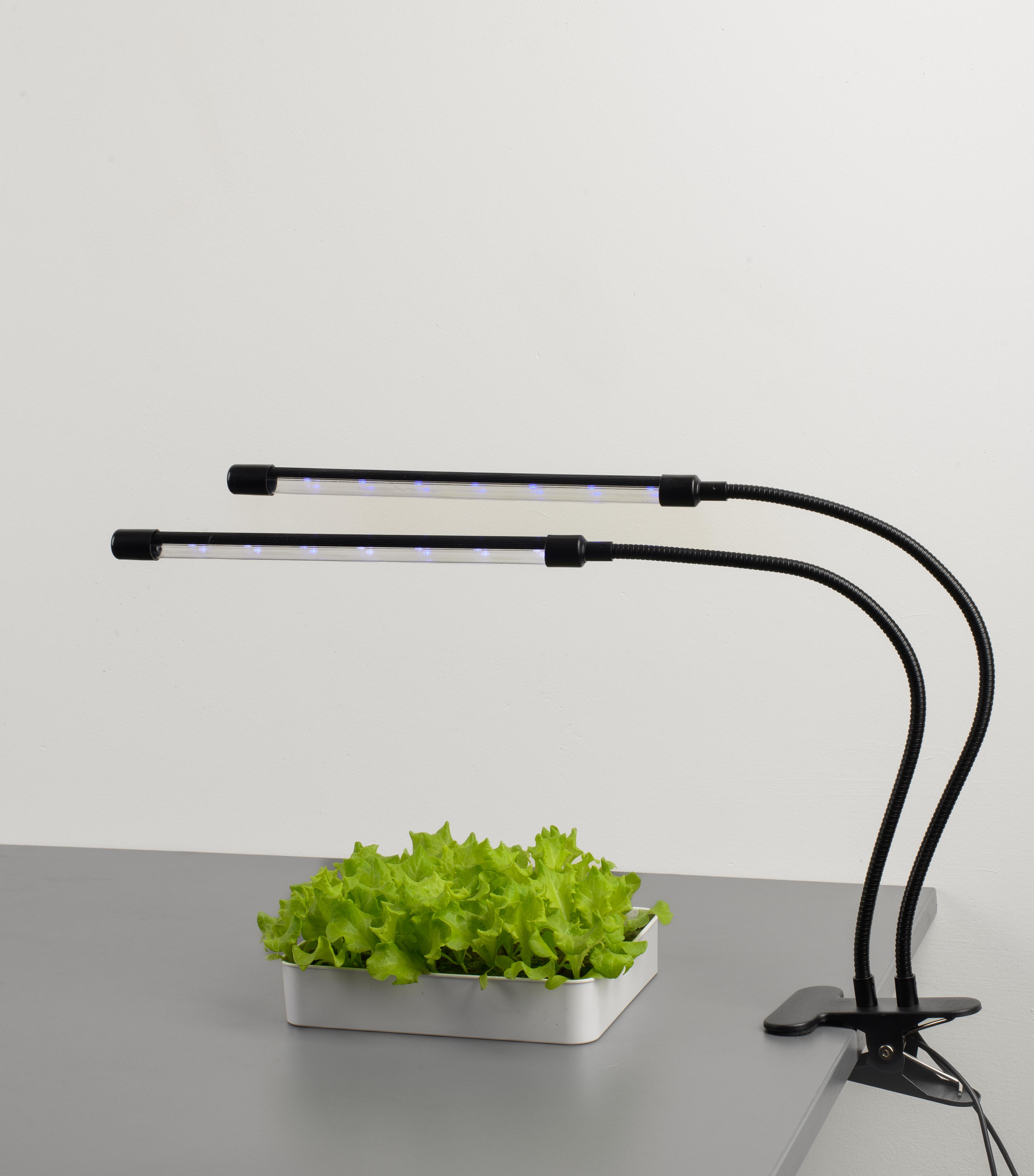 Фитолампа LED Grow Light USB на 2 лампы для растений и рассады светодиодная для роста и цветения