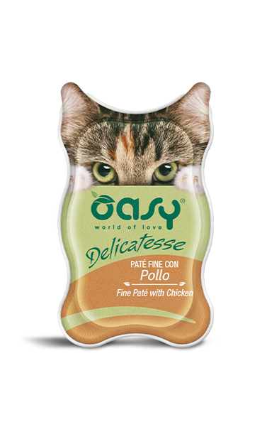 OASY Cat 11684471