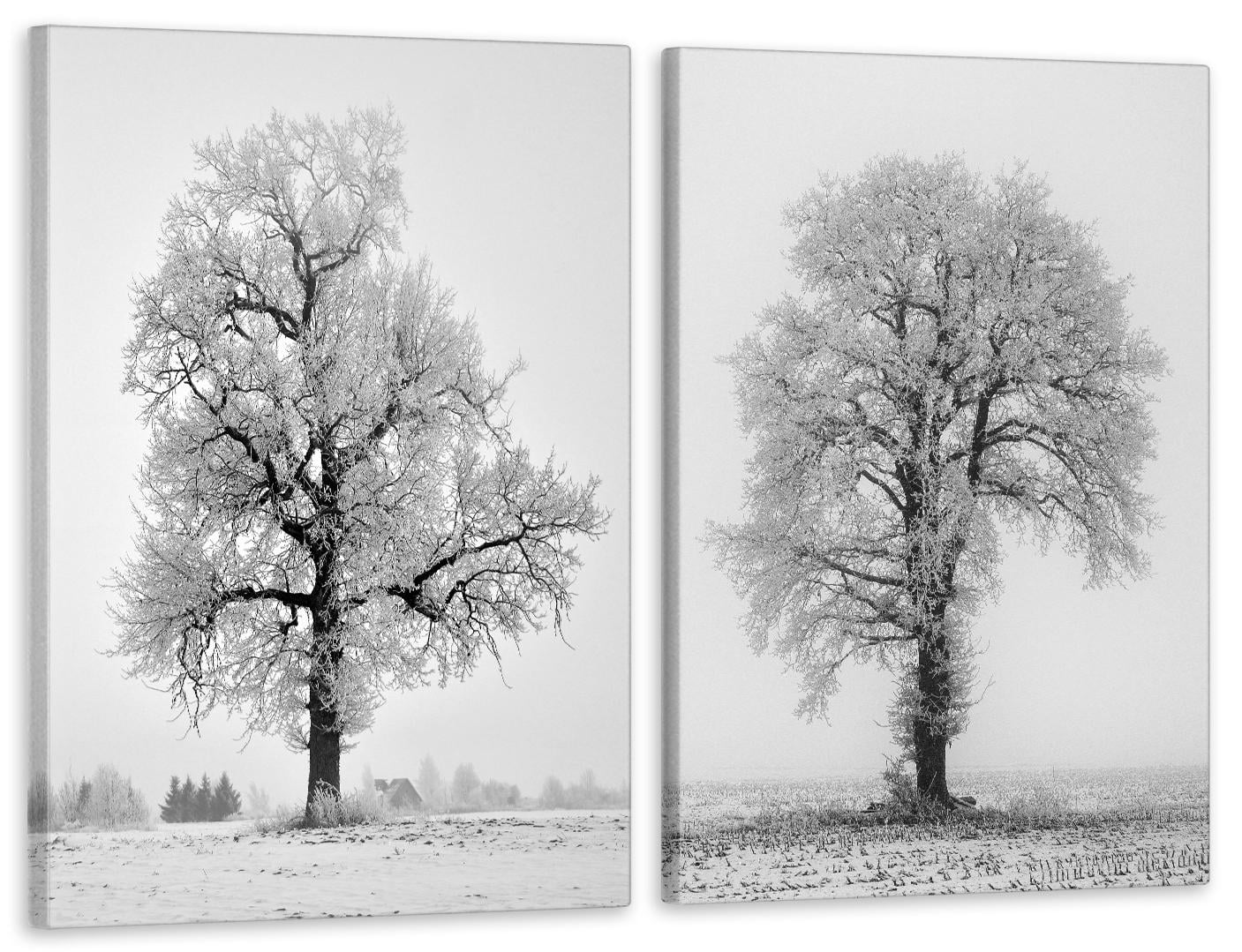 Картина модульная в гостиную/спальню Деревья 120х170 см (TLV-2_041)