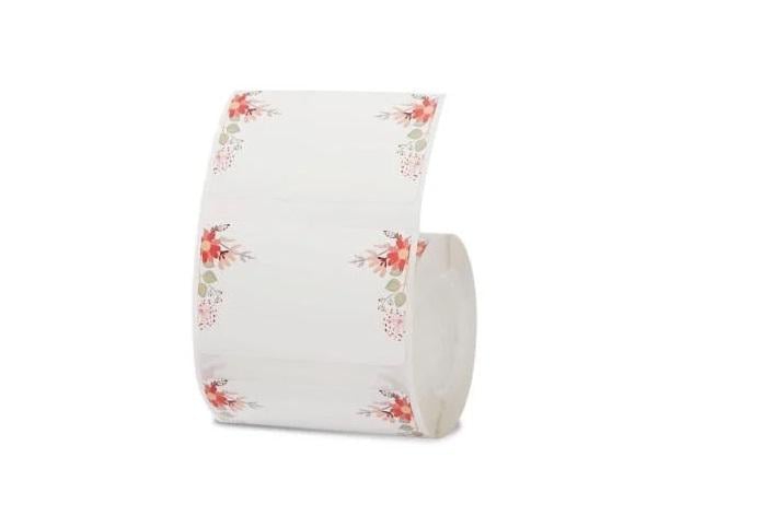 Этикетки NIIMBOT T50х30-230 для B1/B21/B3S