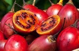 Семена Тамарилло зимостойкий Cyphomandra 20 шт. - фото 2