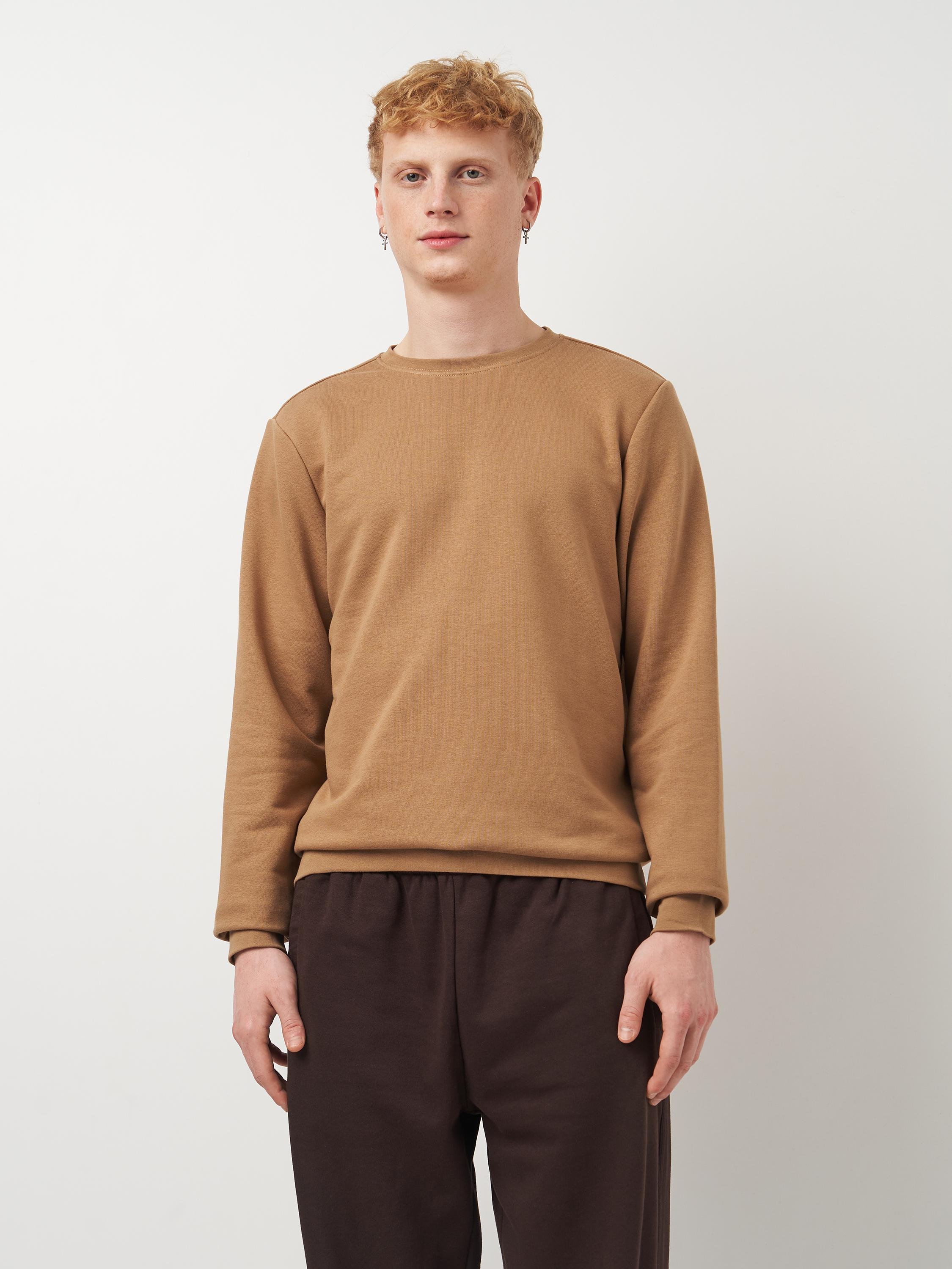 Свитшот мужской ROZA 210542 M Тофи (4824005708770) - фото 1