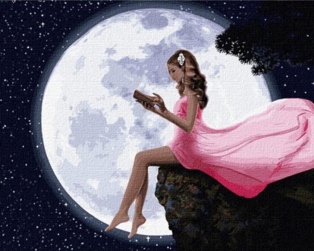 Картина по номерам Идейка Чтение под месяцем КНО4787 холст на подрамнике 40x40 см (1427730275)