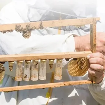 Изолятор-бигуди для выведения пчелиных маток 30 шт C01618 - фото 7