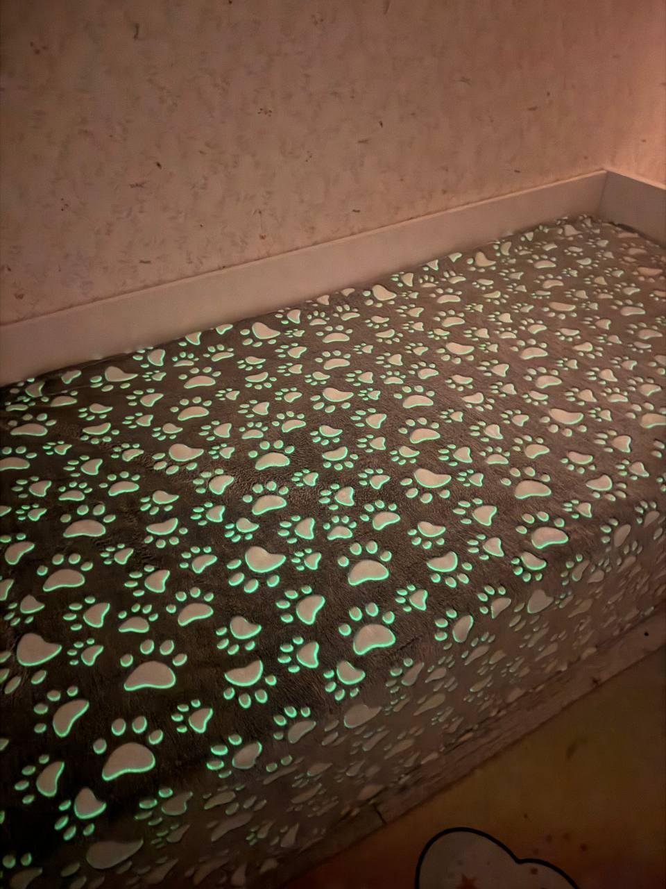 Плед детский светящийся ночью Лапки 150х200 см Серый (П4К-am-pled-svet-002-2)